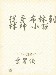 从哥布林到哥布林神 小说