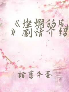 《灿烂的风和海》剧情介绍