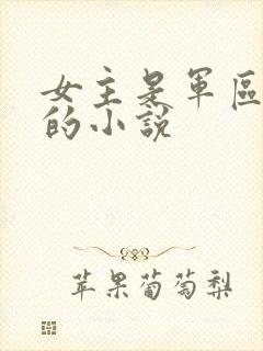 女主是军区少将的小说