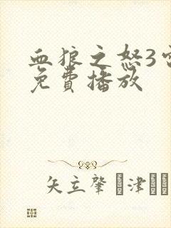 血狼之怒3电影免费播放