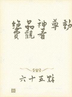 绝品神尊动漫免费观看