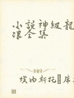 小说神级龙卫沈浪全集