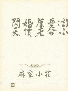 闪婚厚爱:误嫁天价老公小说免费阅读