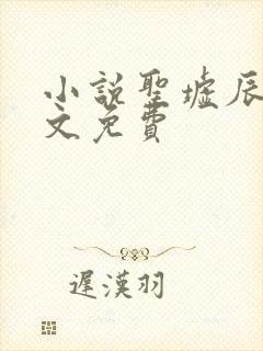 小说圣墟辰东全文免费