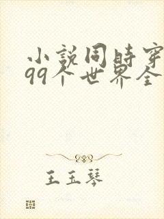 小说同时穿越了99个世界全文