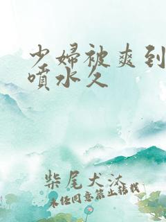 少妇被爽到高潮喷水久