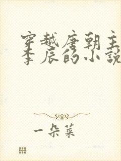 穿越唐朝主角叫李辰的小说