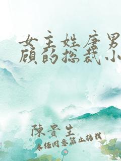 女主姓唐男主姓顾的总裁小说