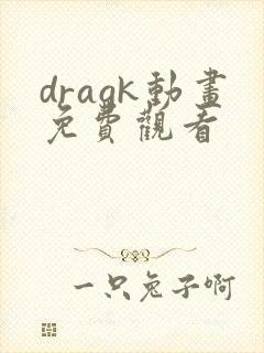 dragk动画免费观看
