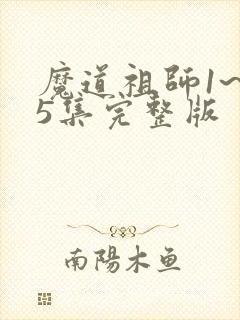 魔道祖师1~35集完整版