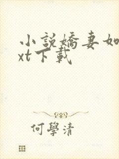 小说娇妻如云txt下载