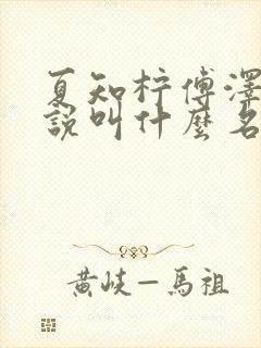 夏知柠傅泽野小说叫什么名字