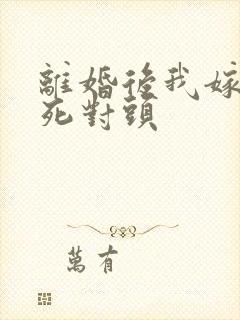 离婚后我嫁给了死对头