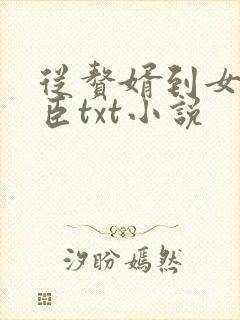 从赘婿到女帝宠臣txt小说