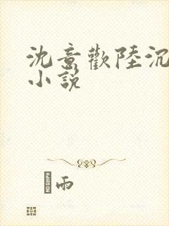 沈意欢陆沉舟的小说