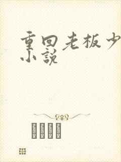 重回老板少年时小说