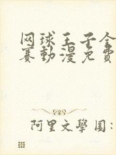 网球王子全国大赛动漫免费观看