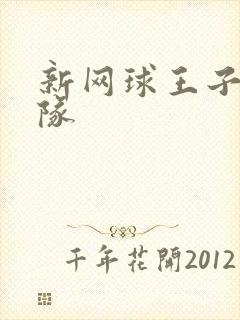 新网球王子德国队