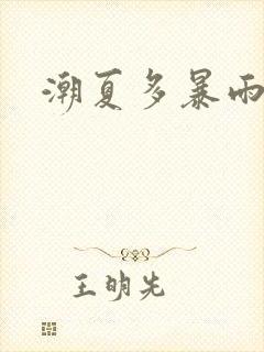 潮夏多暴雨小说