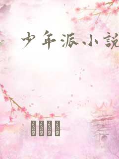 少年派小说