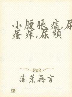 小腹胀痛,尿道瘙痒,尿频