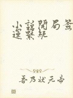 小说开局签到气运系统