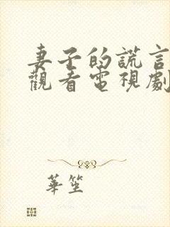 妻子的谎言免费观看电视剧