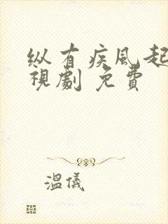 纵有疾风起 电视剧 免费