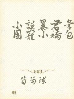 小说暴君爹爹的团宠小娇包