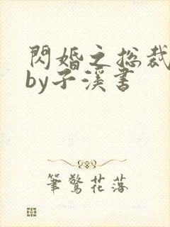 闪婚之总裁夫人by子溪书