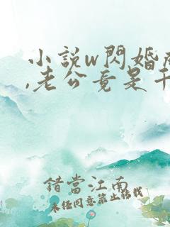 小说w闪婚成宠,老公竟是千亿大佬》