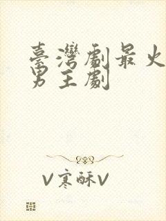 台湾剧最火的双男主剧