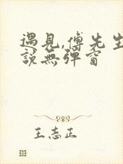 遇见,傅先生小说无弹窗