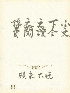 锦衣之下小说免费阅读全文正版