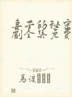 妻子的秘密电视剧全集免费观看