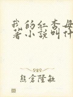 我的红杏母亲原著小说叫什么名字