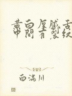 黄白厚腻舌苔舌中间有裂纹