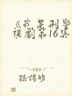 《我是刑警》电视剧第16集