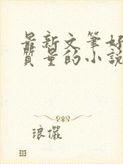 最新文笔好的高质量的小说推荐