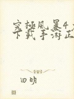 究极风暴4免费下载手游正版