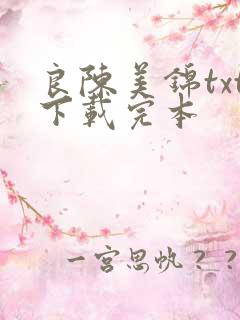 良陈美锦txt下载完本