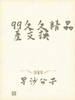 99久久精品国产交换