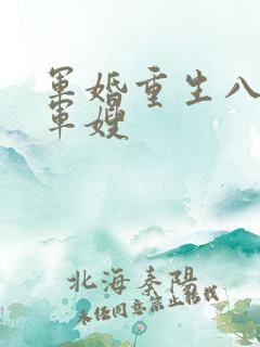 军婚重生八零做军嫂