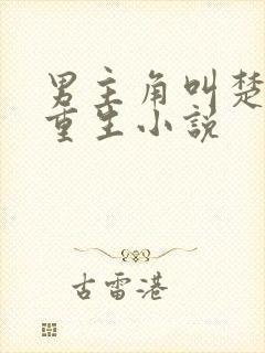 男主角叫楚云的重生小说