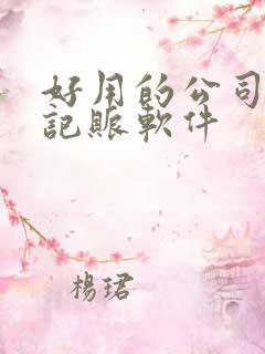 好用的公司财务记账软件