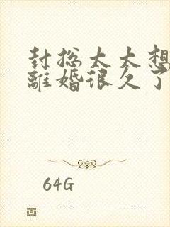 封总太太想跟你离婚很久了的小说