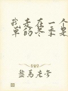 我走在一个人孤单的冬季是什么歌