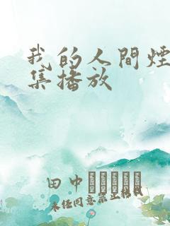 我的人间烟火全集播放