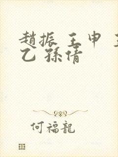 赵振 王申 王乙 孙倩