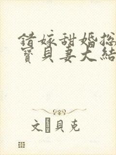 错嫁甜婚总裁的宝贝妻大结局